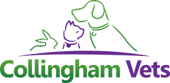 Collingham Vets logo image